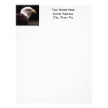 Eagle Head Study Personalized Letterhead