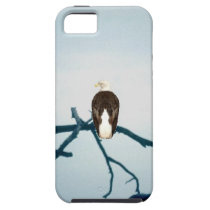 Eagle in the wild. casemate cases