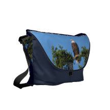 Eagle In Tree Messenger Bag