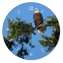 Eagle In Tree Round Clocks