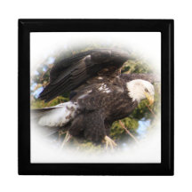 EAgle One Gift Boxes