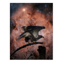 Eagle & Outer Space Gifts Postcard