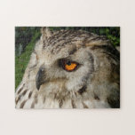 eagle owl jigsaw puzzles