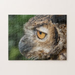 Eagle owl jigsaw puzzles