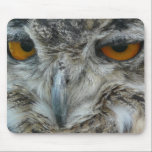 Eagle owl mousepads