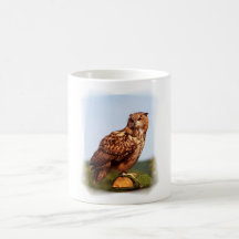 Eagle Owl Mug