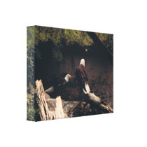 Eagle Pair Stretched Canvas Print