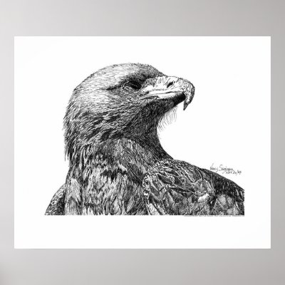 Eagle Pen and Ink Drawing Poster by dragling