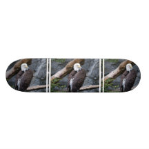 Eagle Perch Skateboard
