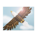 Eagle Postcard