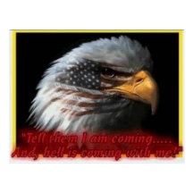 eagle postcard