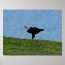 Eagle Print
