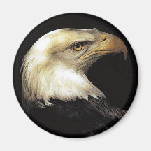 eagle refrigerator magnets