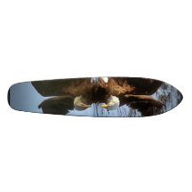 Eagle Skateboard