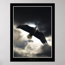 "Eagle Storm"  Poster