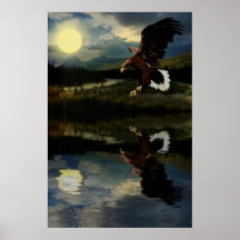Eagle-sunset-1-Ver-3 Poster