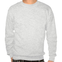 Eagle takeoff pullover sweatshirt