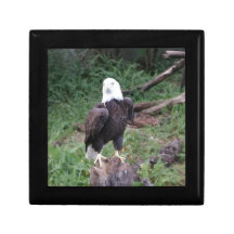 Eagle Trinket Boxes