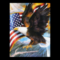 Eagle Wall Art photo with oilpaint effect. posters