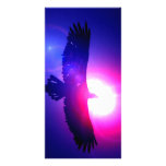 Eagle Wings - Eagle in Flight Photo Card