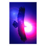 Eagle Wings - Eagle in Flight Customized Stationery