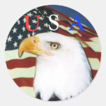 Eagle with flag, U, S, A scker Stickers