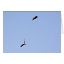 Eagles at Conowingo Dam Greeting Cards