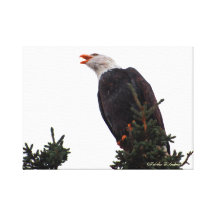 Eagle's Cry Canvas Canvas Prints