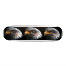 eagles, eagles, eagles skateboard decks