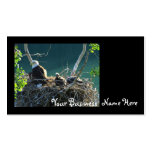 Eagles' Nest Business Card Template
