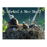 Eagles' Nest; Change of Address Postcards