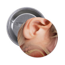 Ear anatomy pin