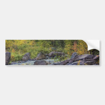 Early Autumn Bumper Sticker