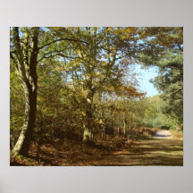 Early Autumn Poster