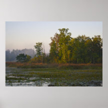 Early Autumn Sunlight print