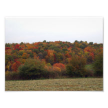 Early Fall Foilage in Southwest Pennsylvania Photographic Print