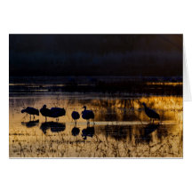 Early, Icy-Cold Morning Greeting Cards