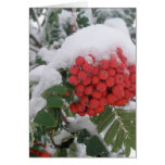 Early Montana Winter Card
