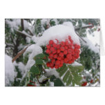 Early Montana Winter Cards