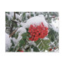 Early Montana Winter Postcards
