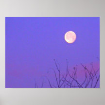 Early Morning  Winter Sunrise Posters