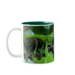 Early Robin-hood (Baby Bird) Mug