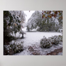 Early Snow Poster