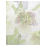 Early Spring Blooms - Hellebores! Letterhead Design