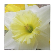 Early Spring Daffodil Tiles