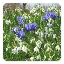 Early Spring Flowers Sticker