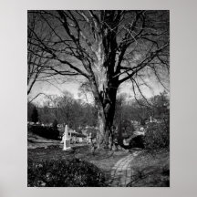 Early Spring in the Cemetery Posters