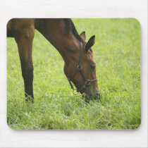 Early Spring Mouse Mat