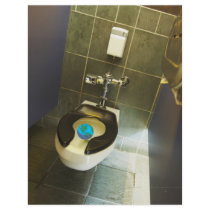 Earth and the Toilet Personalized Flyer