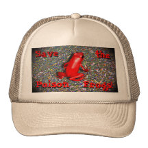 Earth Day conservation Save the Frogs Hat!